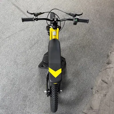 Kids Electric Off-Road Bike, 650W Brushless, 36V Lithium, Hydraulic Brakes, 25km Range — Media 3