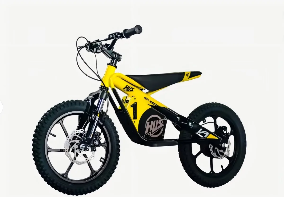 Kids Electric Off-Road Bike, 650W Brushless, 36V Lithium, Hydraulic Brakes, 25km Range — Media 5