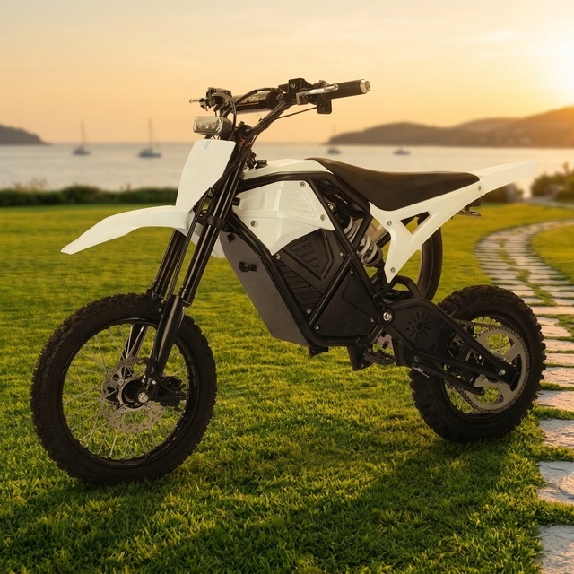 Motos électriques
