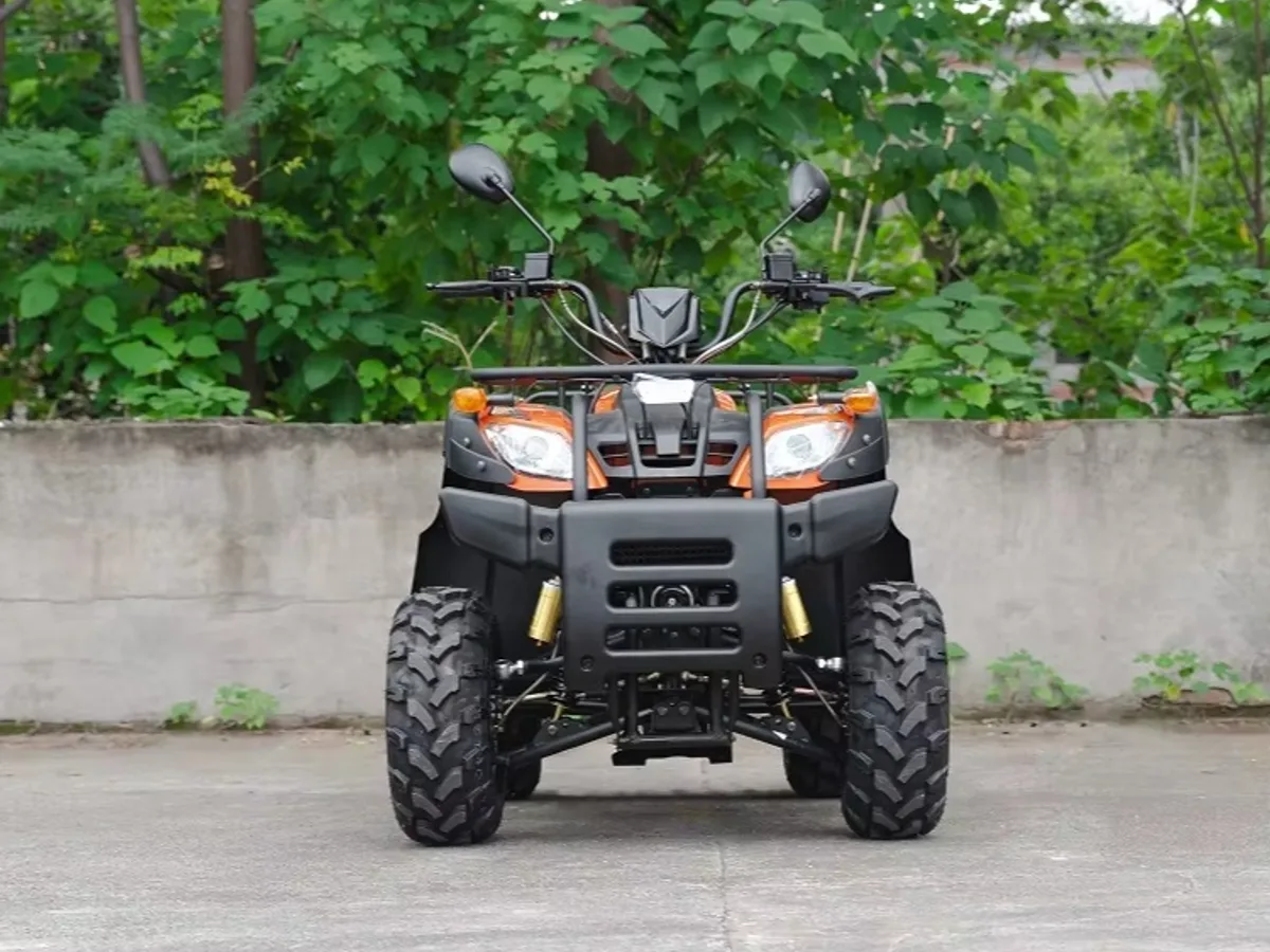 200cc Adult ATV 4-Stroke Oil-Cooled Automatic 2WD Front & Rear Disc Brakes — Media 3