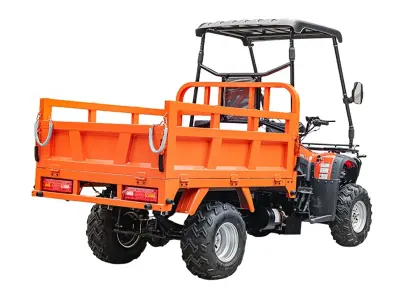 300cc Four-Stroke Water-Cooled 4WD Manual Utility UTV – 400kg Payload — Media 5